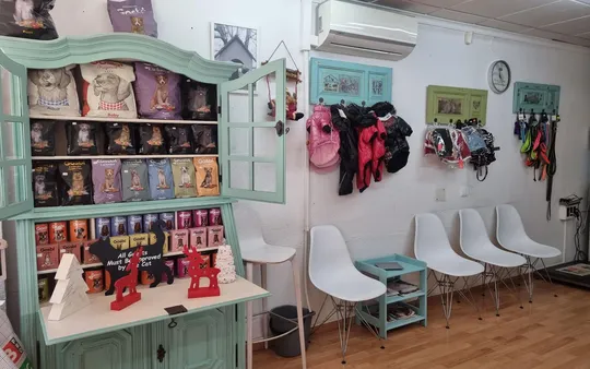 Veterinario para gatos en Calpe