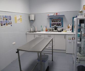 Laboratorio: Servicios de Centro Veterinario Azuqueca