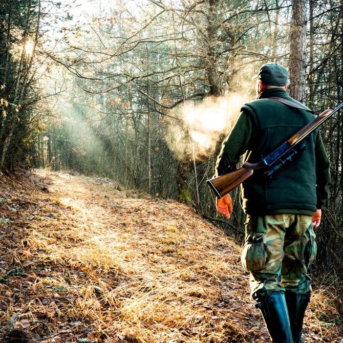 La caza es una actividad saludable y divertida, pero requiere de ciertas medidas de seguridad