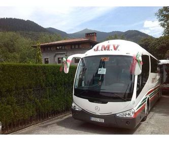 Bus 28 plazas: Servicios de J. M. Vigiola