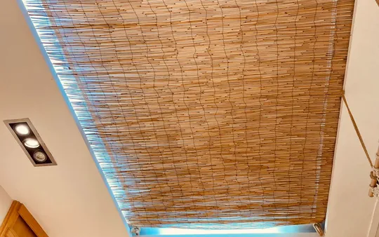 Imagen 2 de la galería