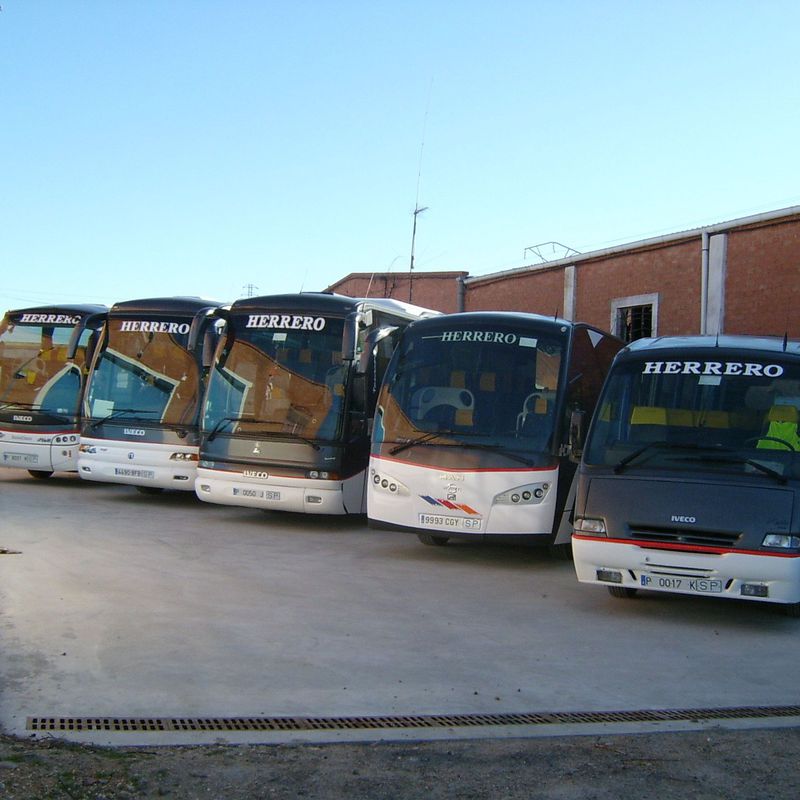 Excursiones nacionales e internacionales: Servicios de Autocares Herrero