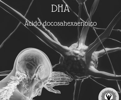 DHA (ácido docosahexaenoico)