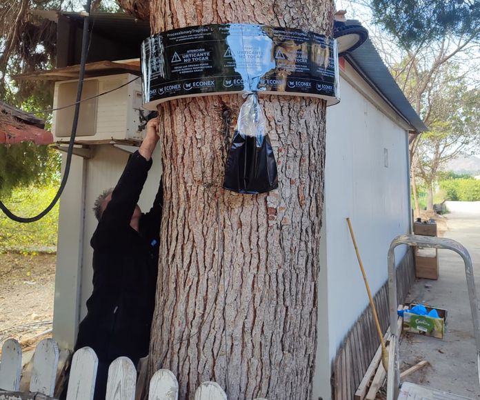 Trampa ecológica de collar de tronco para procesionaria: Productos de Mantenimiento Aspi